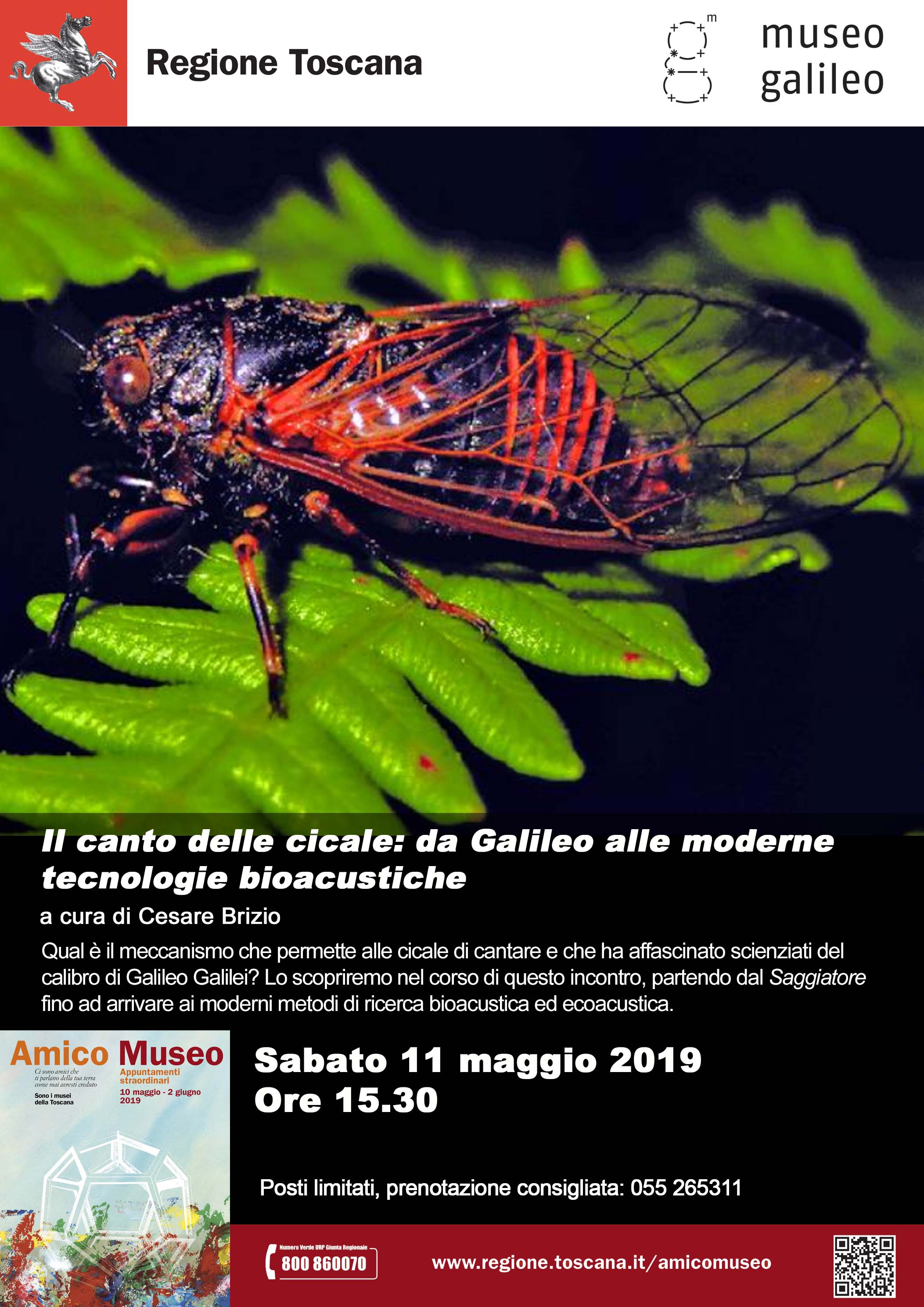 A3 Amico Museo 2019 Cicale LR