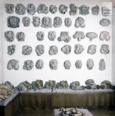  - Sala delle cere anatomiche (acquisite dal Museo nel 1962 dall’Arcispedale di Santa Maria Nuova)