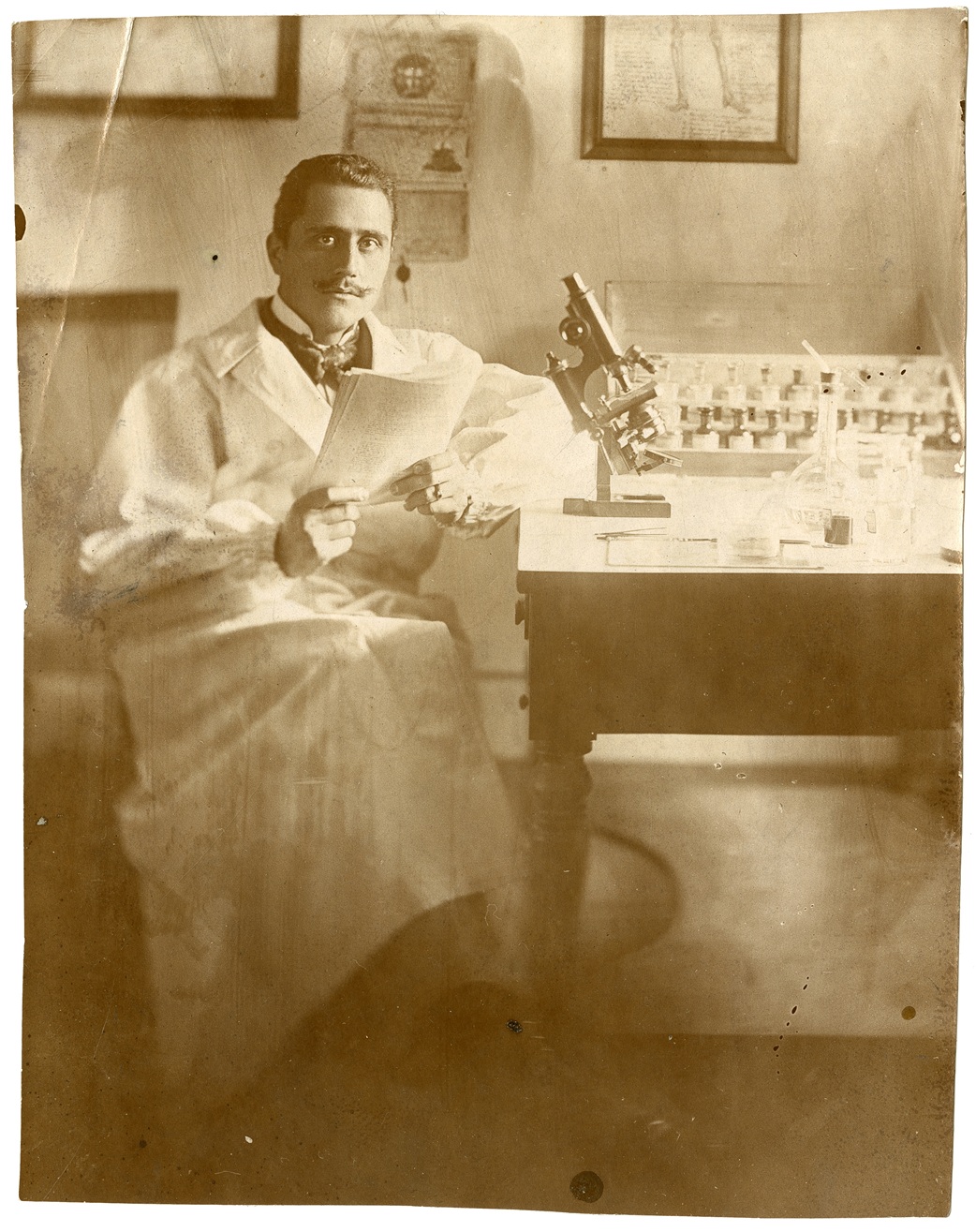 fondo stefanelli Image