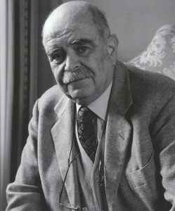 fondo stefanelli Image