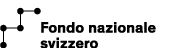SNF logo standard