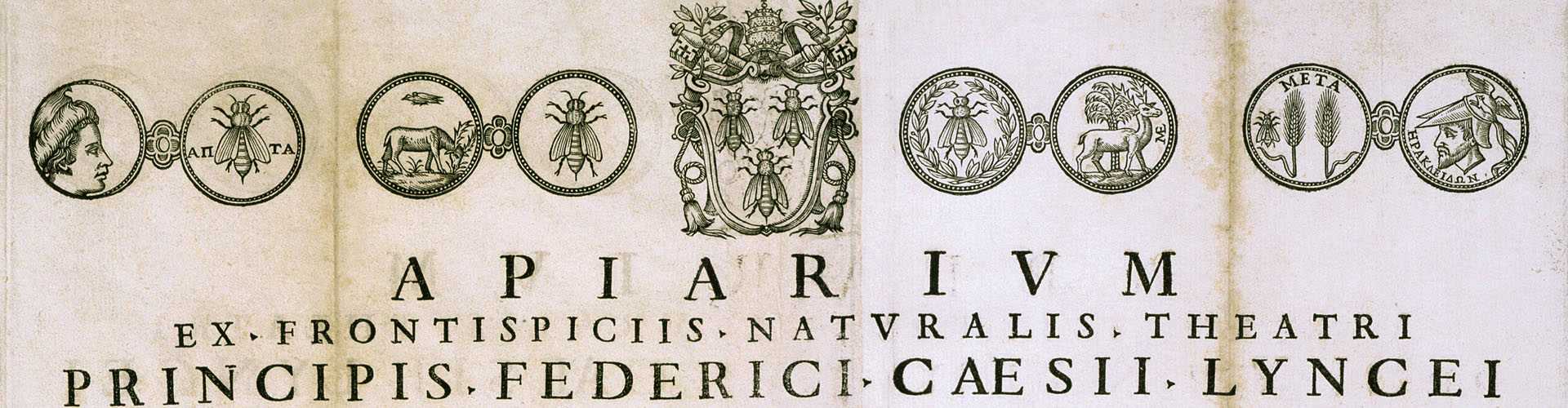 Federico Cesi. Apiarium and Melissographia