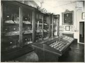  - The medical instruments room on the ground floor. In the display cases are Brambilla’s surgical instruments. In the central case, the collection of Aperlo medals and on the wall the great portrait of Maurizio Bufalini